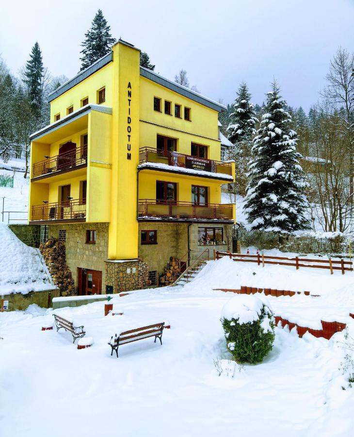 Willa Antidotum Krynica-Zdrój Exterior foto