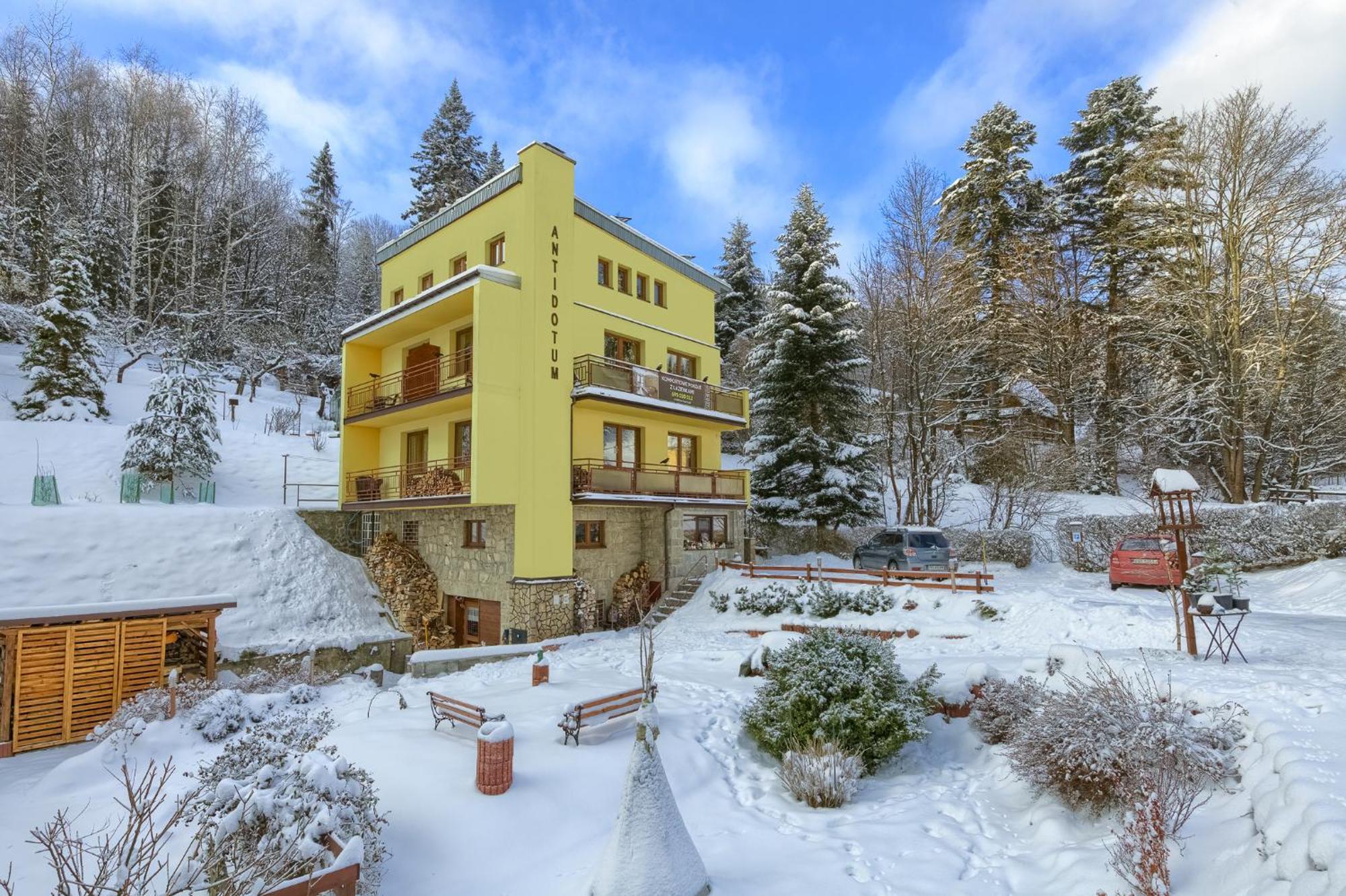 Willa Antidotum Krynica-Zdrój Exterior foto
